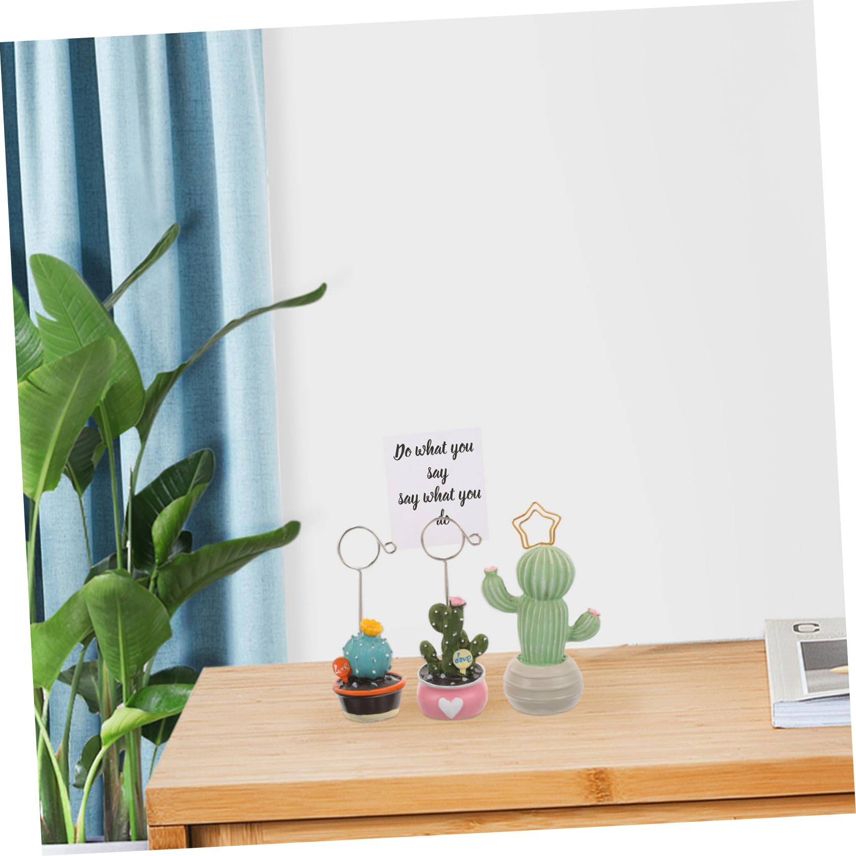 サボテン絵　専用 多肉植物・観葉植物・サボテンを仕立てる鉢の専門店 Konect